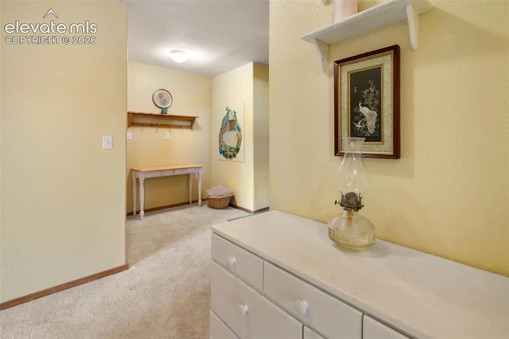 996 Spring Valley Drive Divide, CO 80814