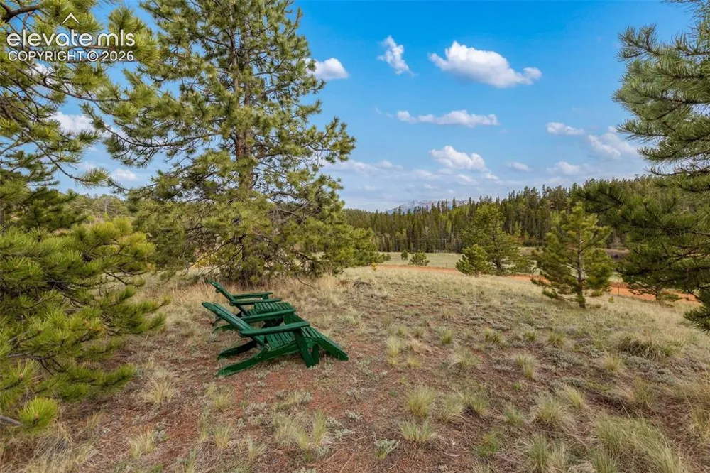 996 Spring Valley Drive Divide, CO 80814