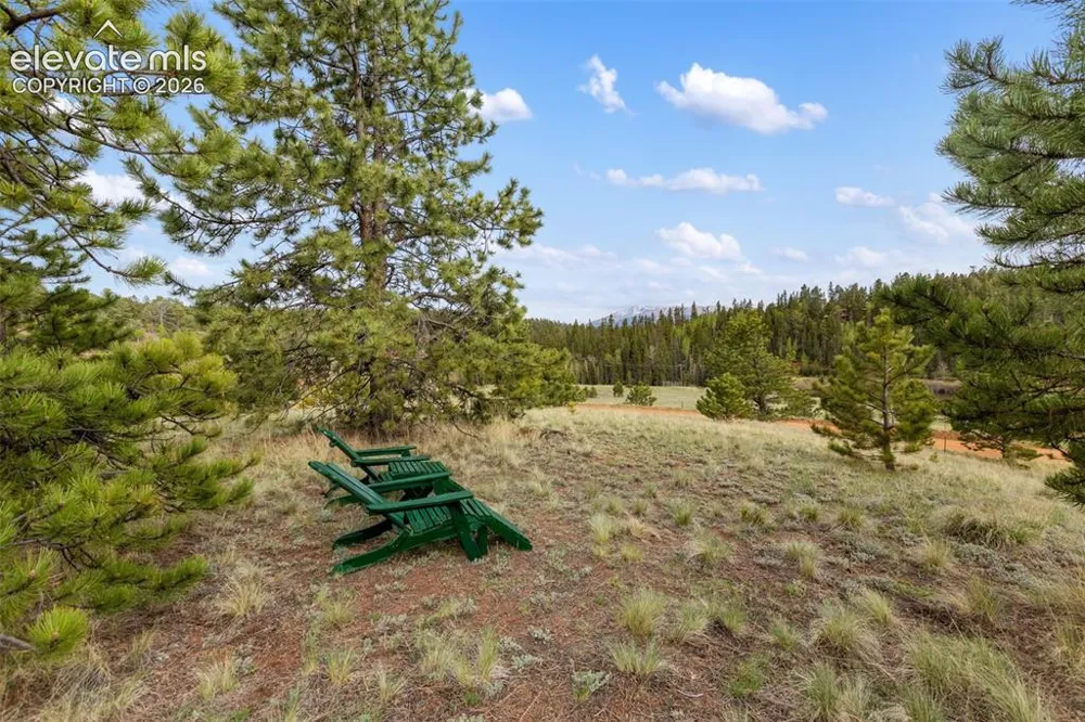 996 Spring Valley Drive Divide, CO 80814