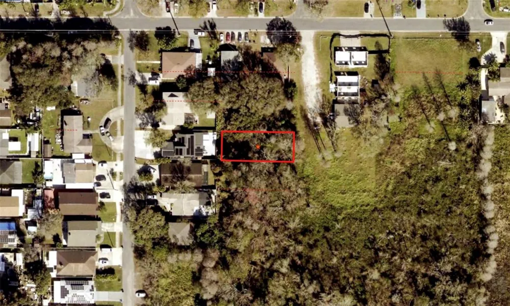 BLOSSOM AVENUE Tampa, FL 33614
