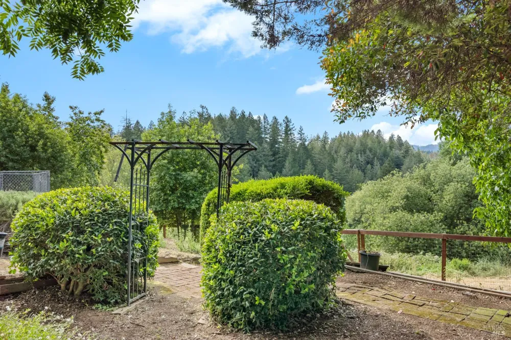 7361 Hidden Lake Road Forestville, CA 95436