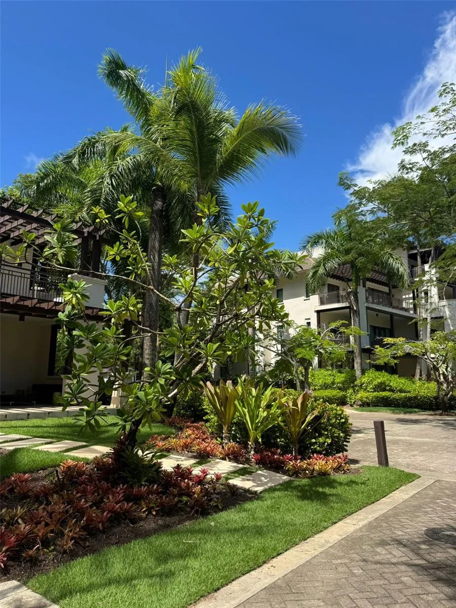7000 BAHIA BEACH BLVD Rio Grande, PR 00745
