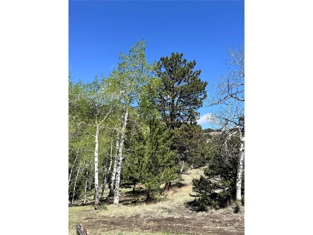 Dilley Road Westcliffe, CO 81252