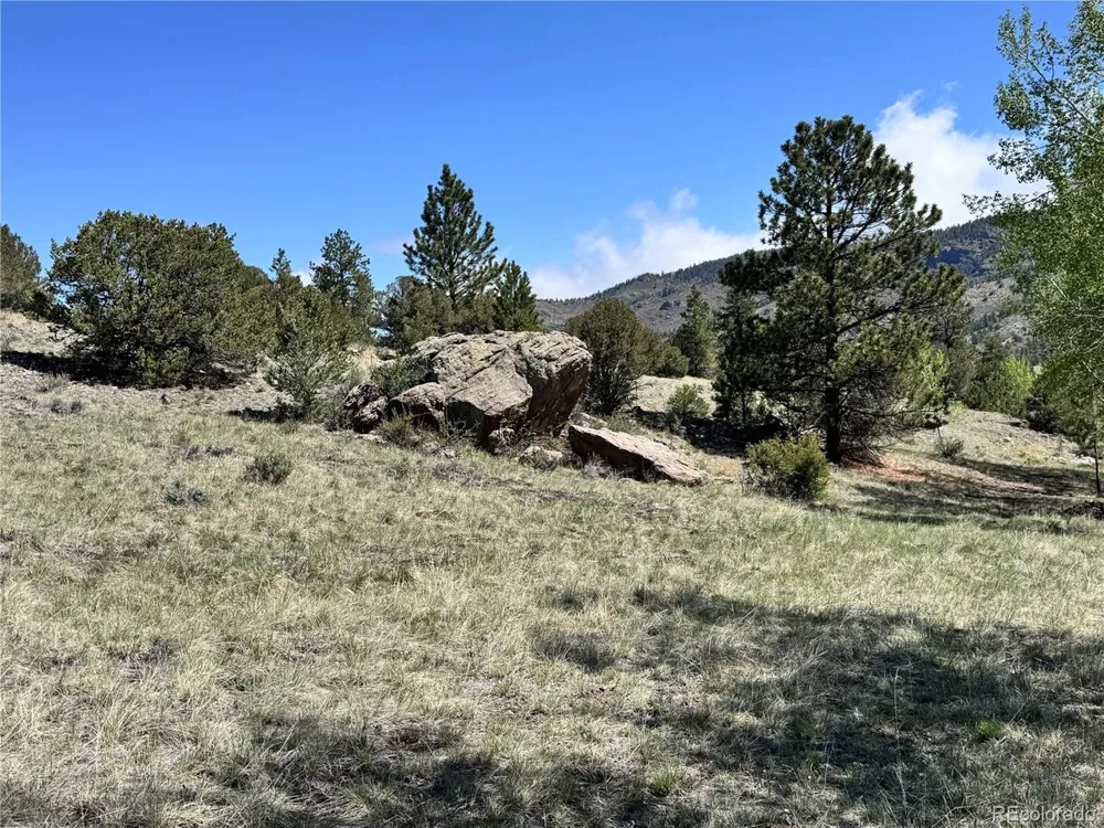 Dilley Road Westcliffe, CO 81252