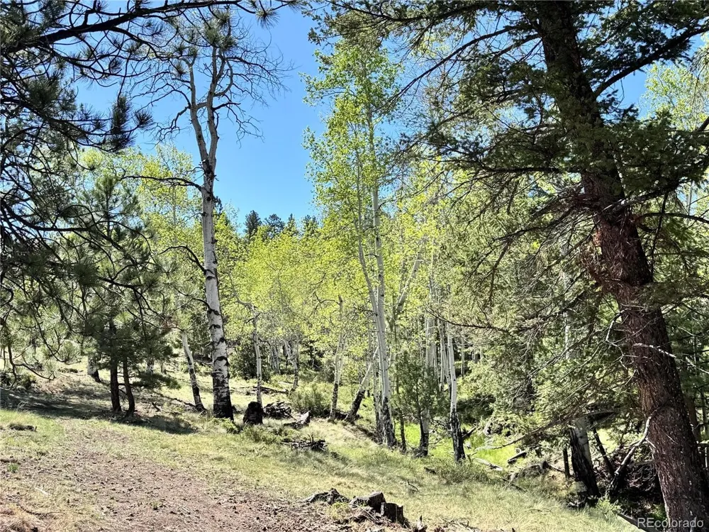 Dilley Road Westcliffe, CO 81252