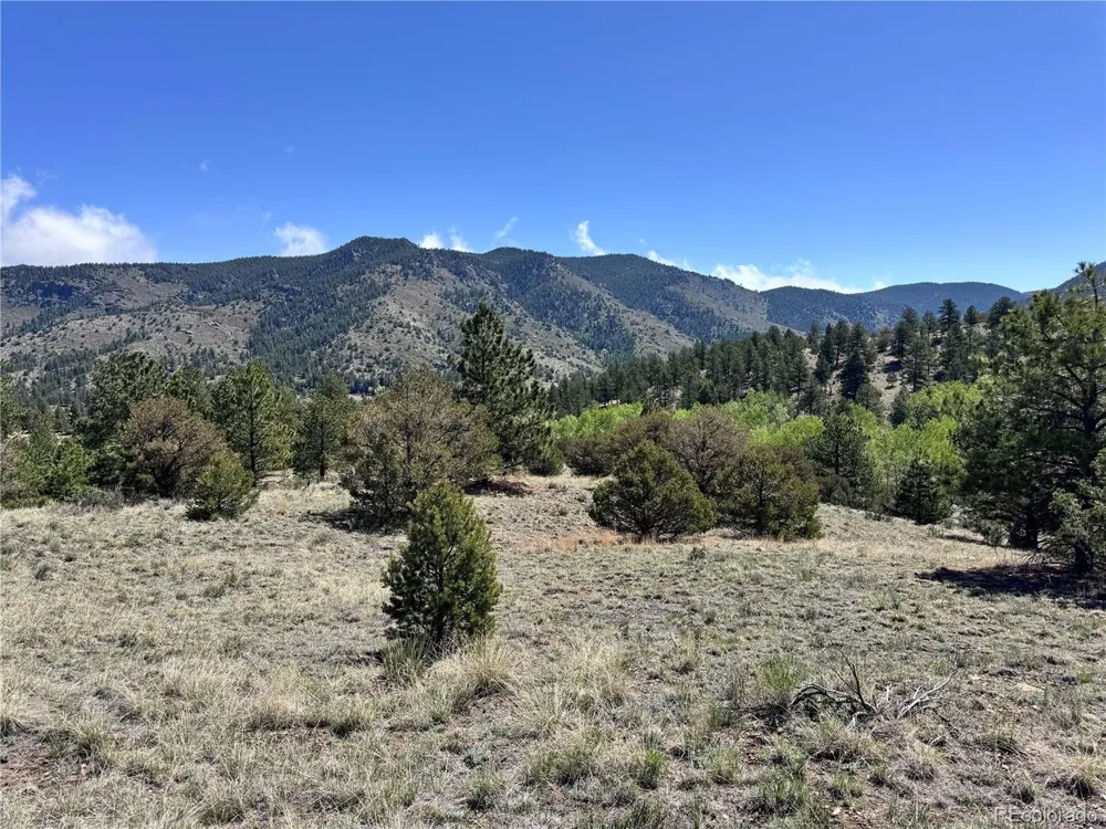 Dilley Road Westcliffe, CO 81252