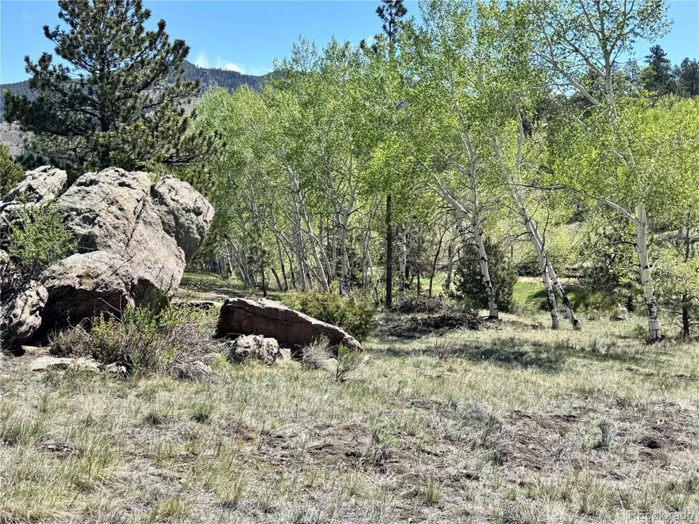 Dilley Road Westcliffe, CO 81252