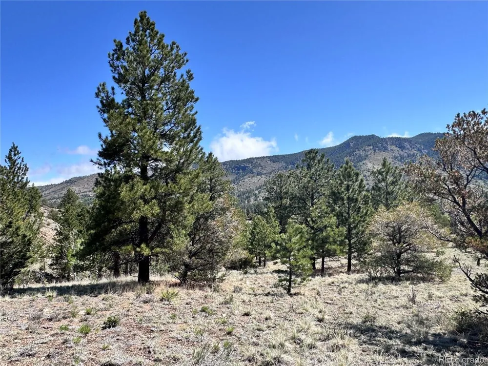 Dilley Road Westcliffe, CO 81252