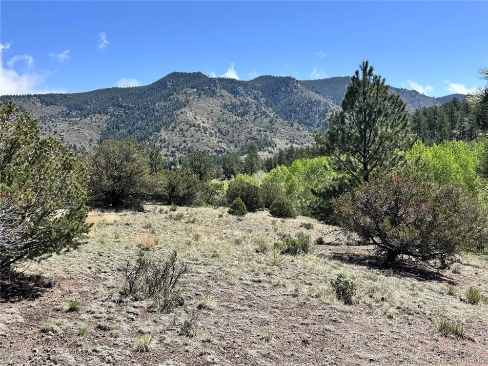 Dilley Road Westcliffe, CO 81252