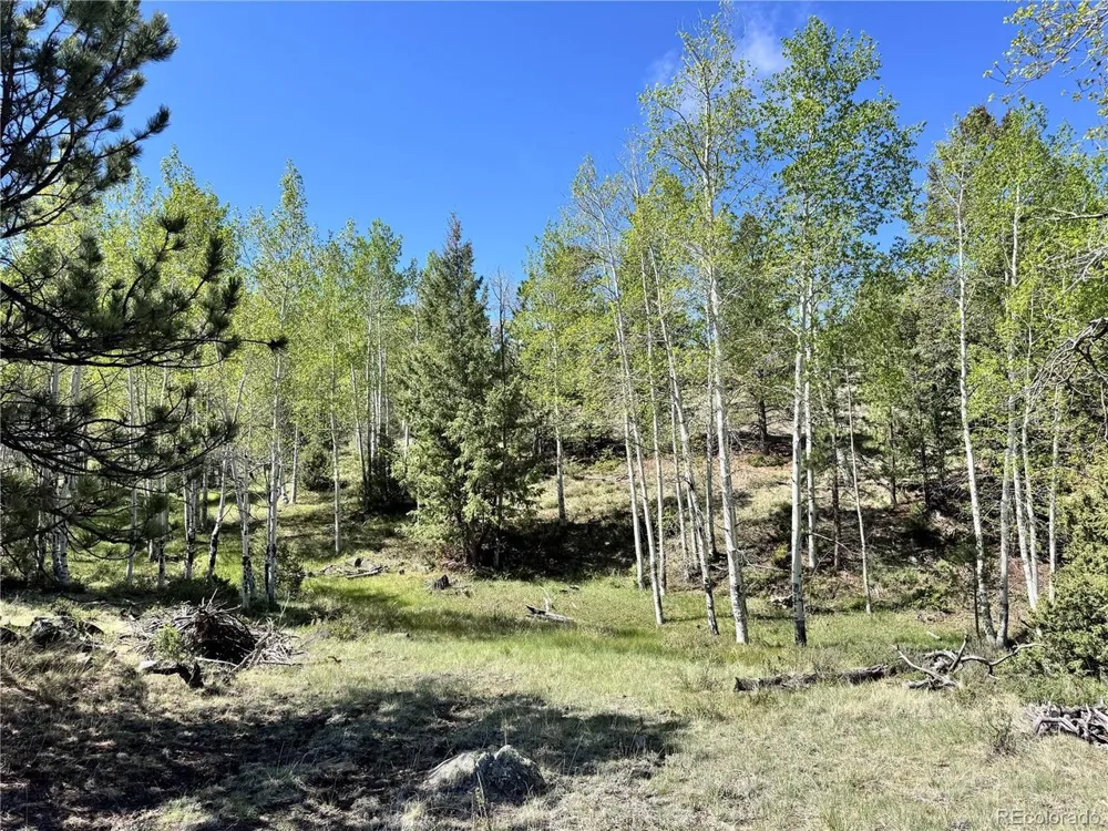 Dilley Road Westcliffe, CO 81252