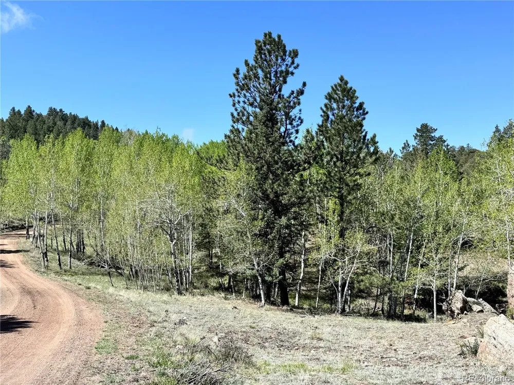 Dilley Road Westcliffe, CO 81252