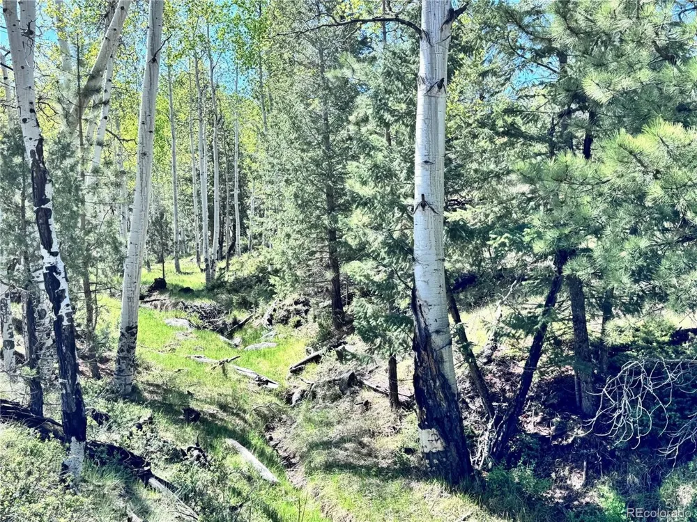 Dilley Road Westcliffe, CO 81252