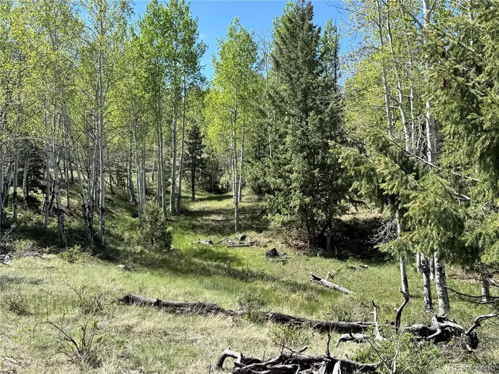 Dilley Road Westcliffe, CO 81252