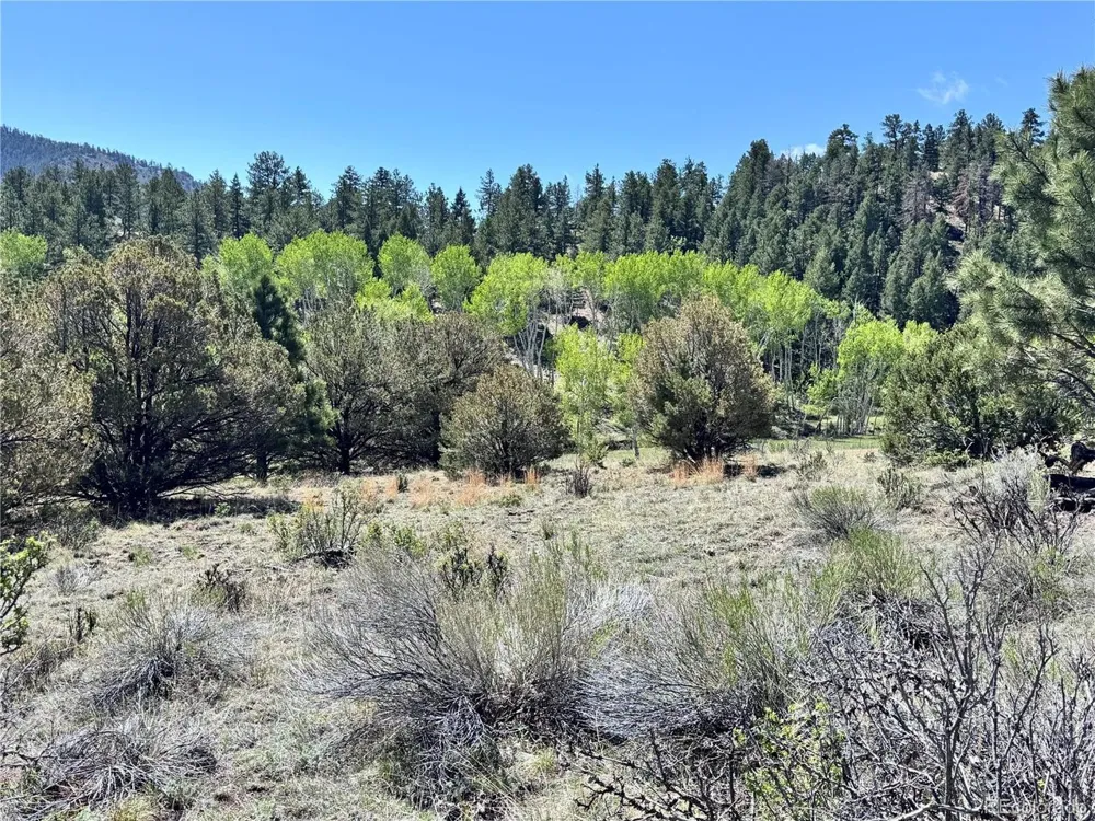 Dilley Road Westcliffe, CO 81252
