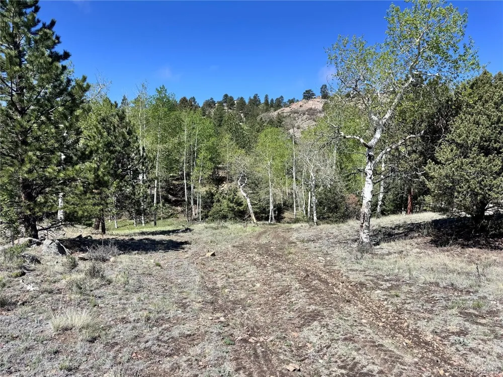 Dilley Road Westcliffe, CO 81252