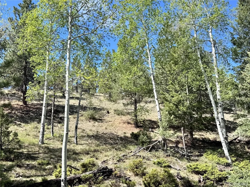 Dilley Road Westcliffe, CO 81252
