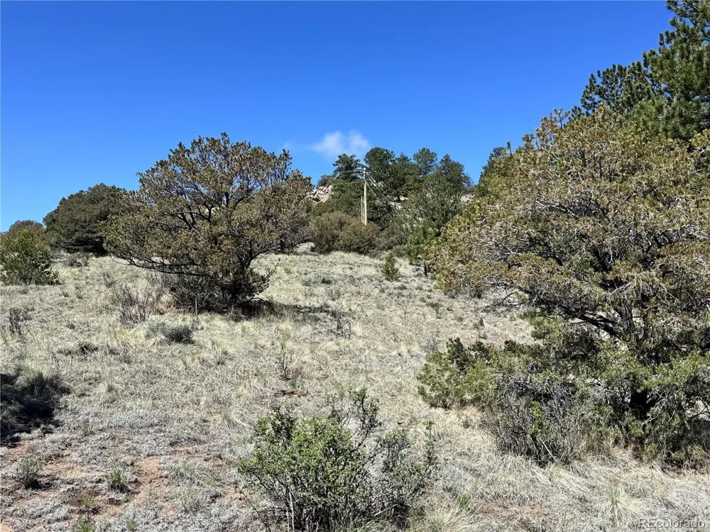 Dilley Road Westcliffe, CO 81252