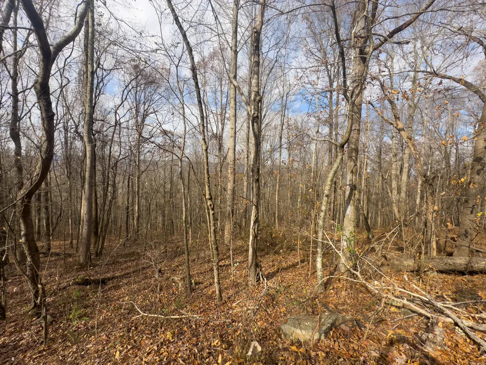 Tennessee 27 Whitwell, TN 37397