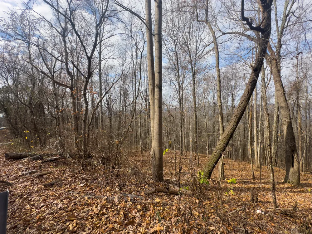 Tennessee 27 Whitwell, TN 37397
