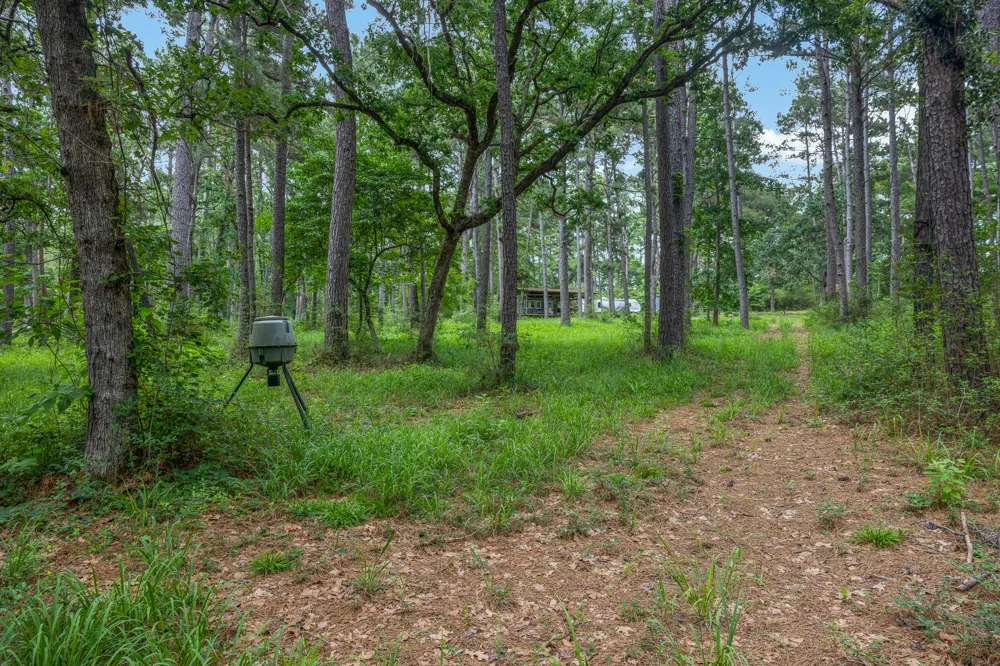 5772 PR 2065 Centerville, TX 75833