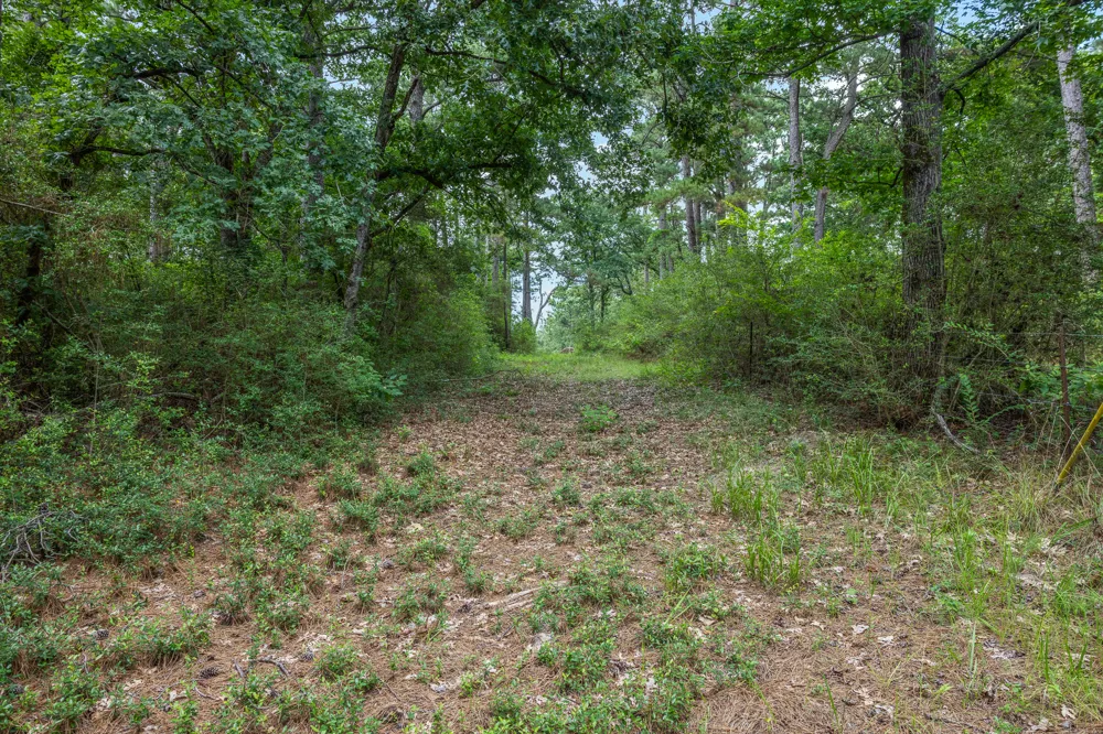 5772 PR 2065 Centerville, TX 75833