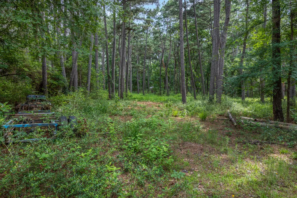5772 PR 2065 Centerville, TX 75833