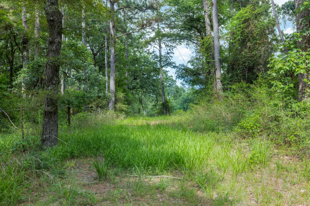 5772 PR 2065 Centerville, TX 75833