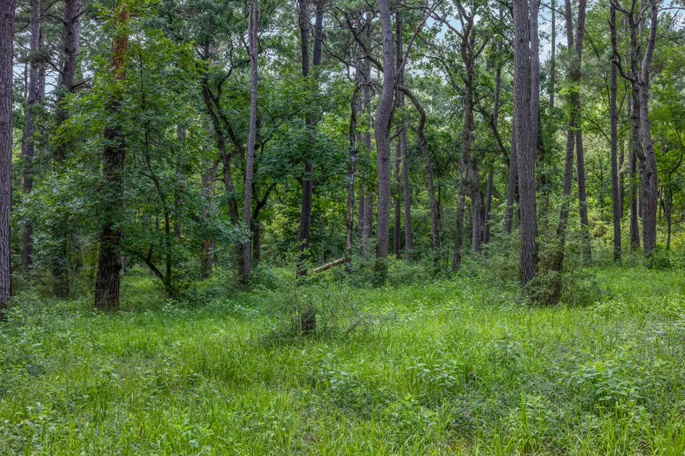5772 PR 2065 Centerville, TX 75833