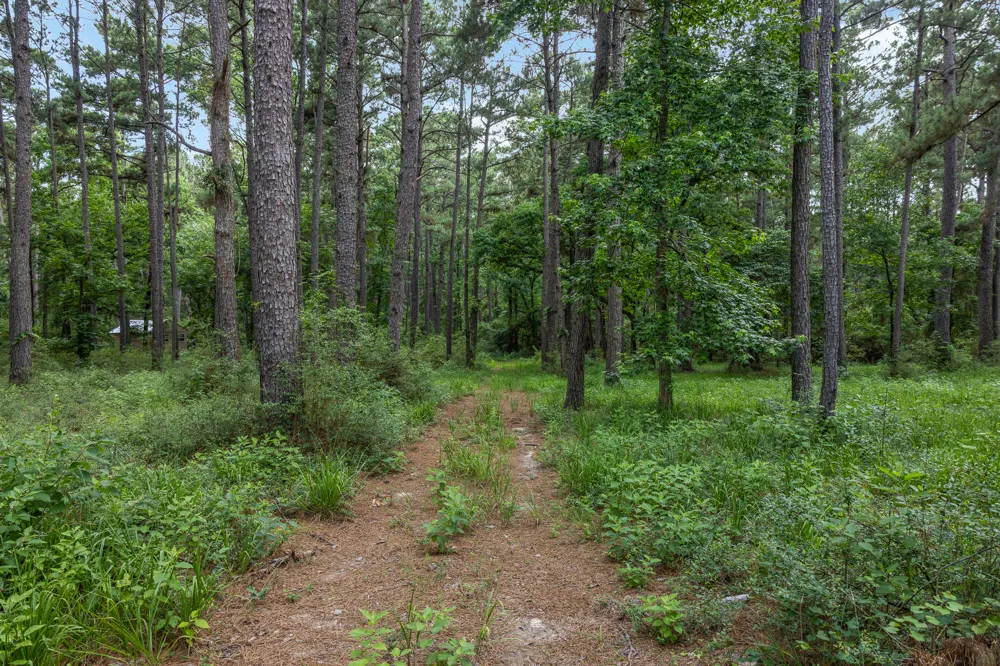 5772 PR 2065 Centerville, TX 75833