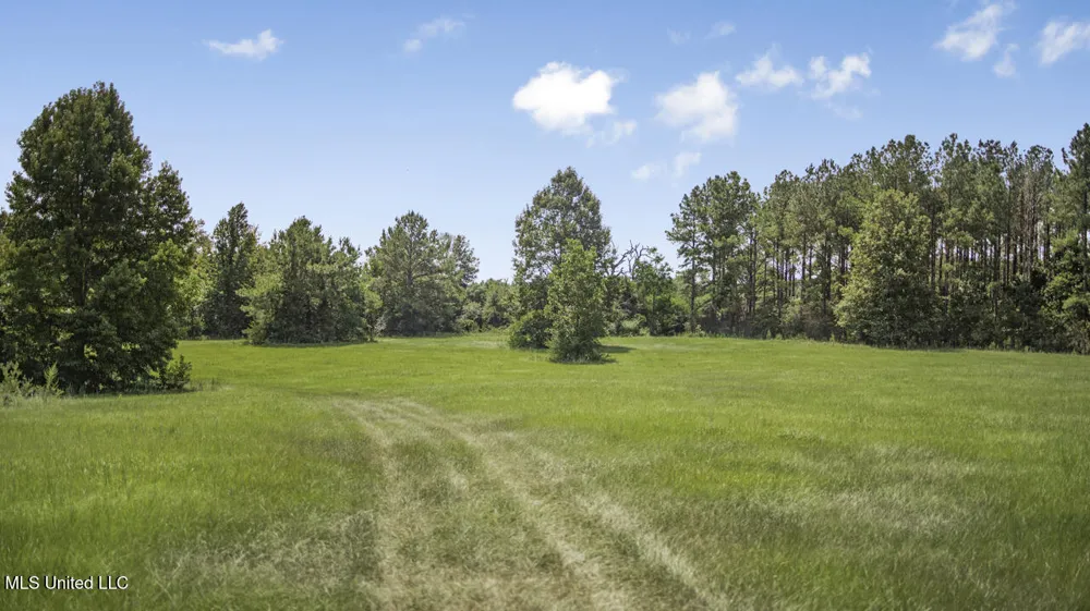 3088 Terrys Creek Road Magnolia, MS 39652