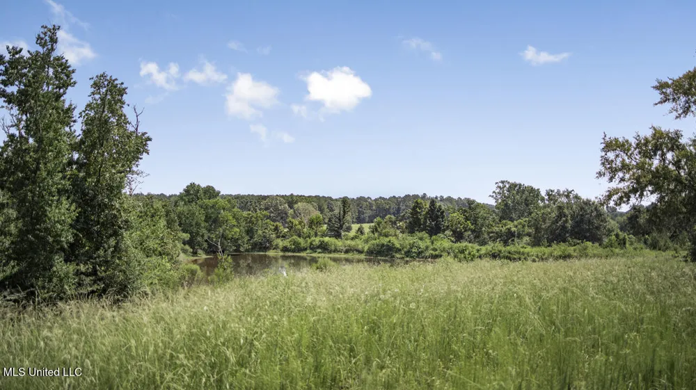 3088 Terrys Creek Road Magnolia, MS 39652