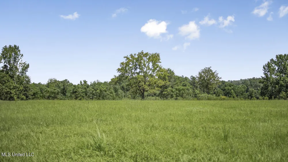 3088 Terrys Creek Road Magnolia, MS 39652