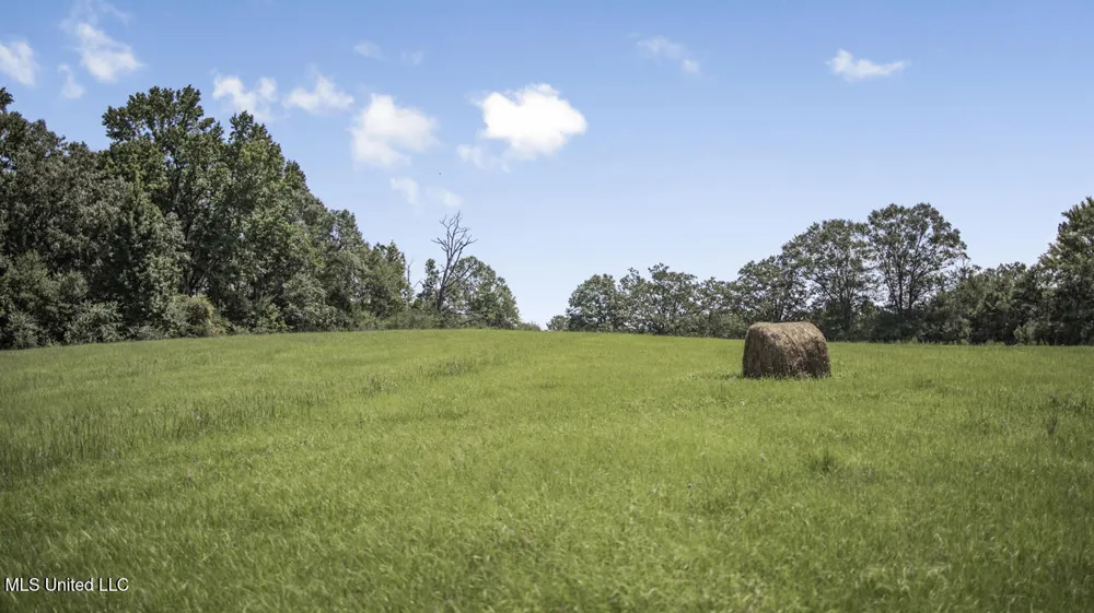 3088 Terrys Creek Road Magnolia, MS 39652