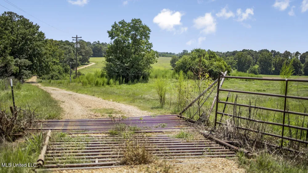 3088 Terrys Creek Road Magnolia, MS 39652