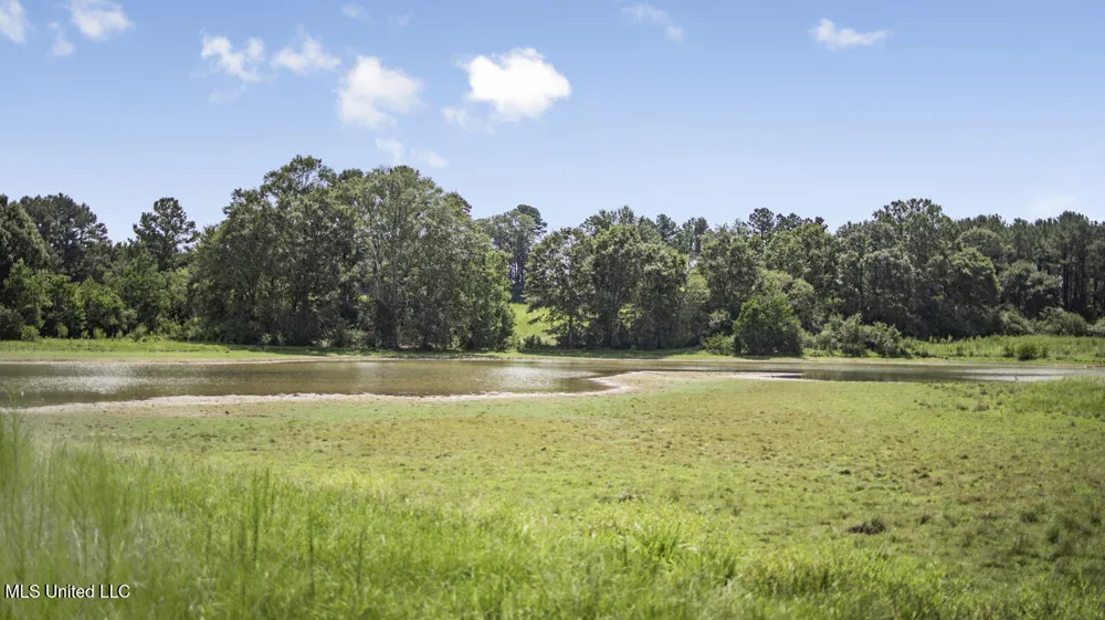 3088 Terrys Creek Road Magnolia, MS 39652