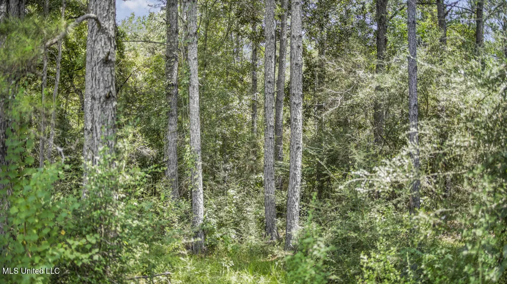 3088 Terrys Creek Road Magnolia, MS 39652