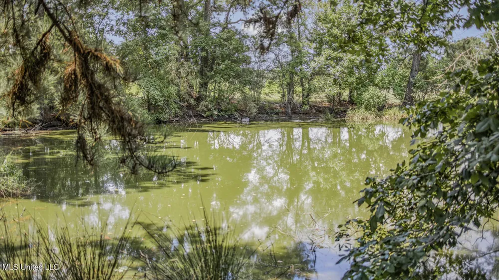 3088 Terrys Creek Road Magnolia, MS 39652