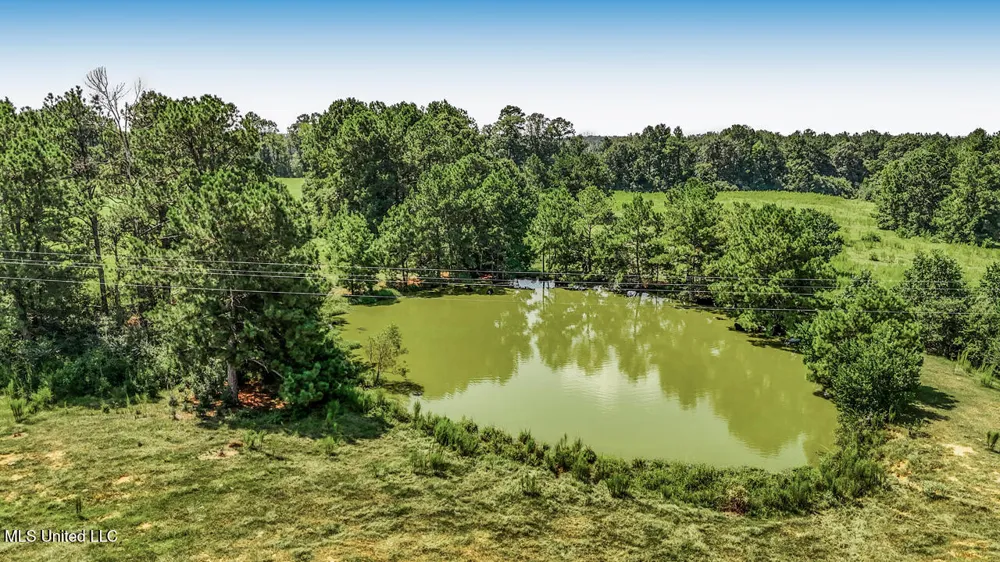 3088 Terrys Creek Road Magnolia, MS 39652