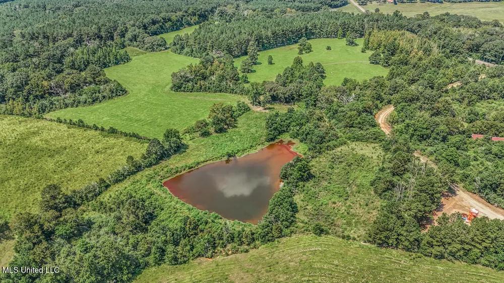 3088 Terrys Creek Road Magnolia, MS 39652