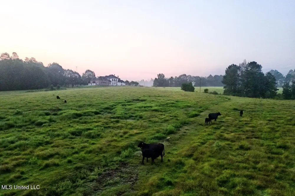 3088 Terrys Creek Road Magnolia, MS 39652
