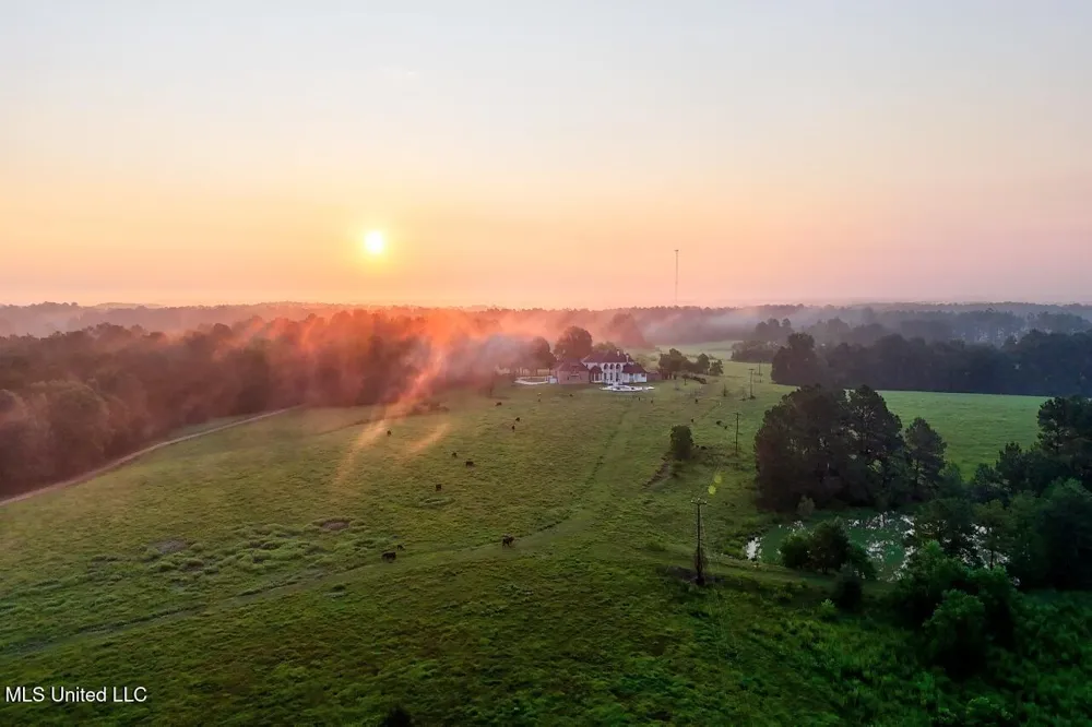 3088 Terrys Creek Road Magnolia, MS 39652