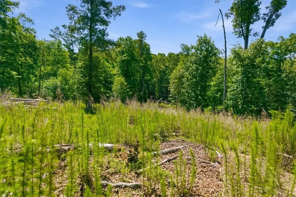 0 Williams Road SE Silver Creek, GA 30173