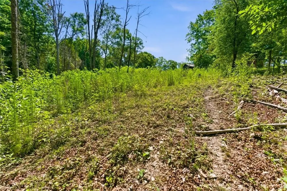 0 Williams Road SE Silver Creek, GA 30173