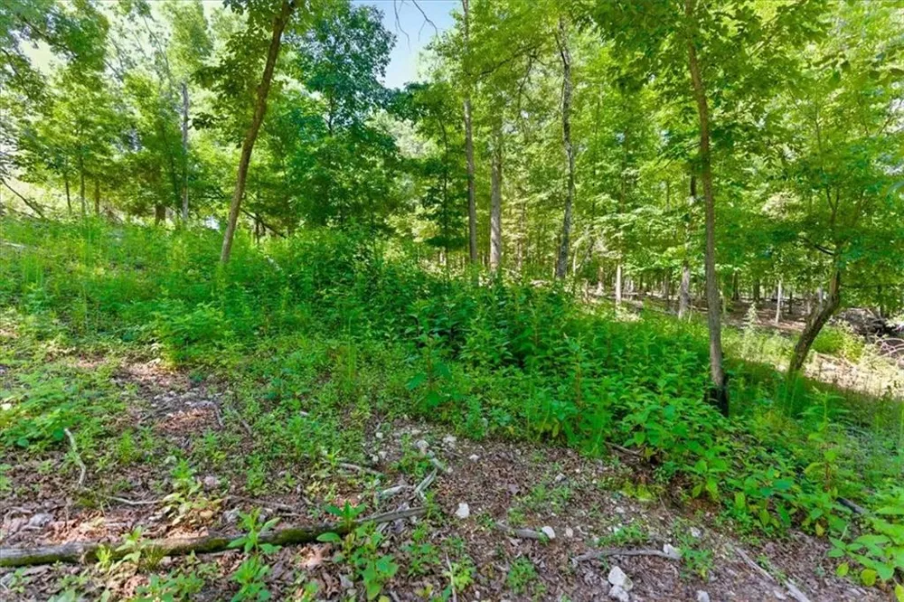 0 Williams Road SE Silver Creek, GA 30173