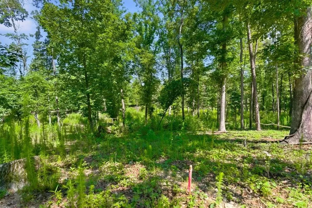 0 Williams Road SE Silver Creek, GA 30173