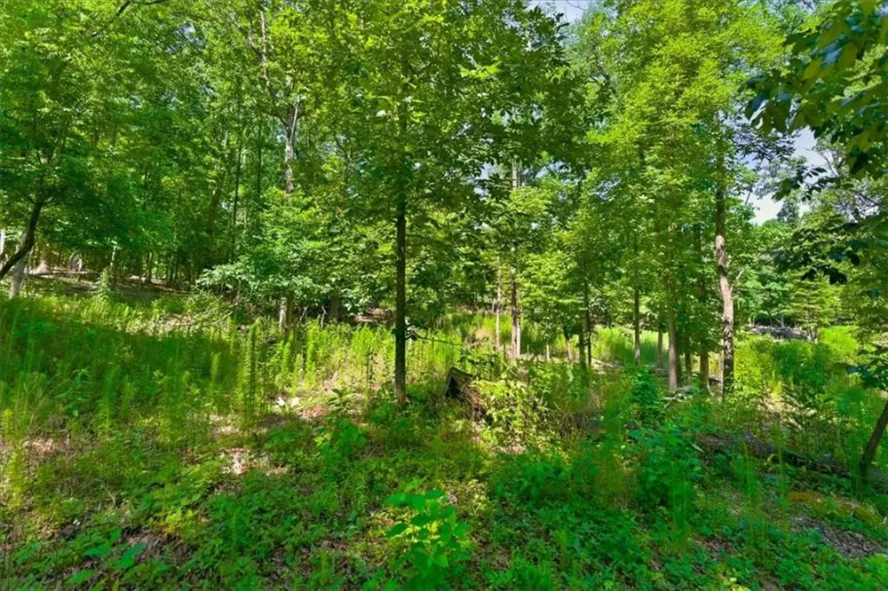 0 Williams Road SE Silver Creek, GA 30173