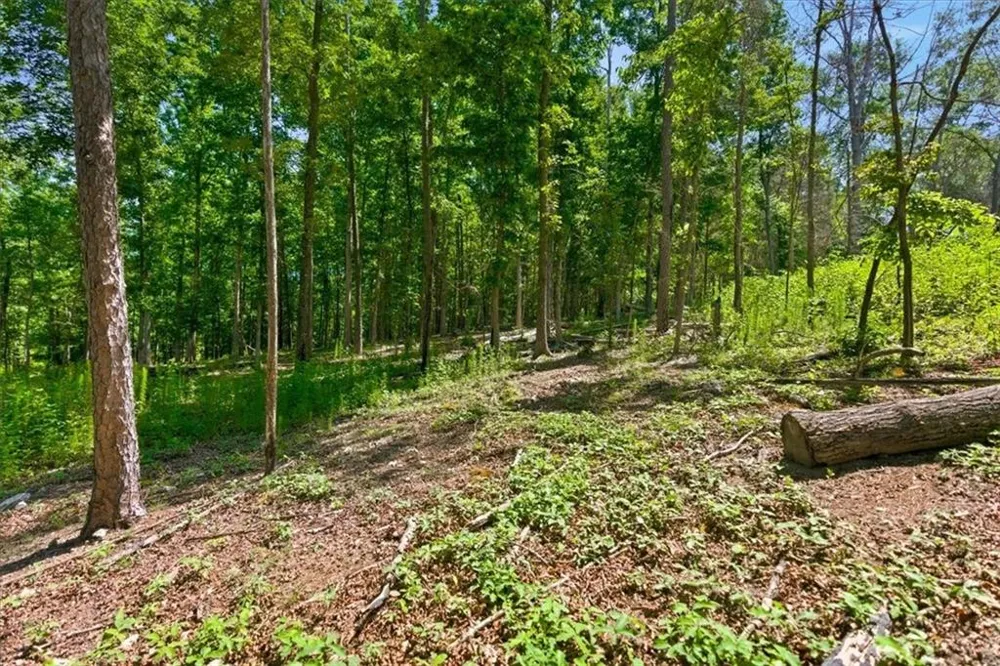 0 Williams Road SE Silver Creek, GA 30173