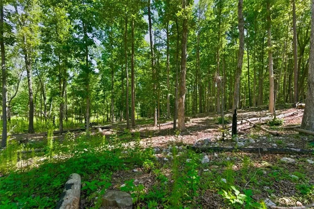 0 Williams Road SE Silver Creek, GA 30173