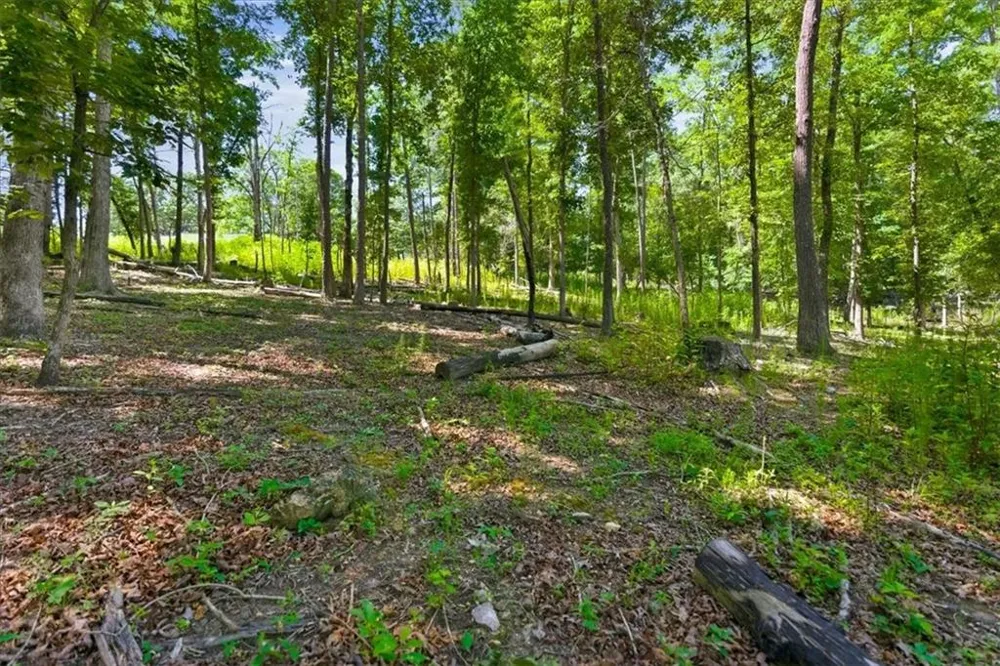 0 Williams Road SE Silver Creek, GA 30173