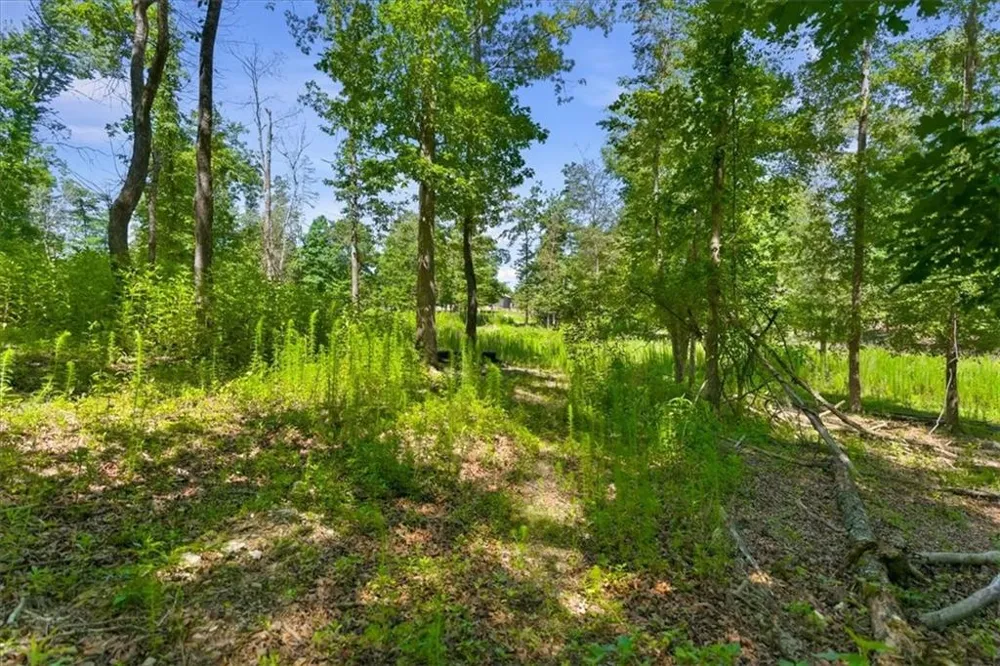 0 Williams Road SE Silver Creek, GA 30173